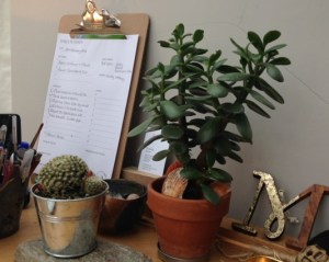 Melanie's money plant